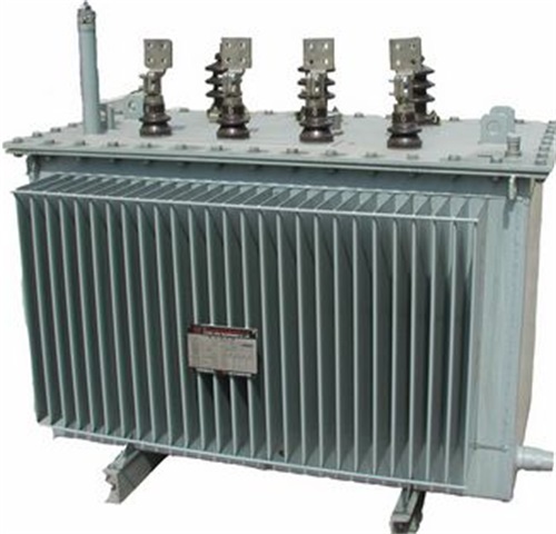 武胜S11-100KVA/10KV/0.4KV油浸式变压器厂家现货